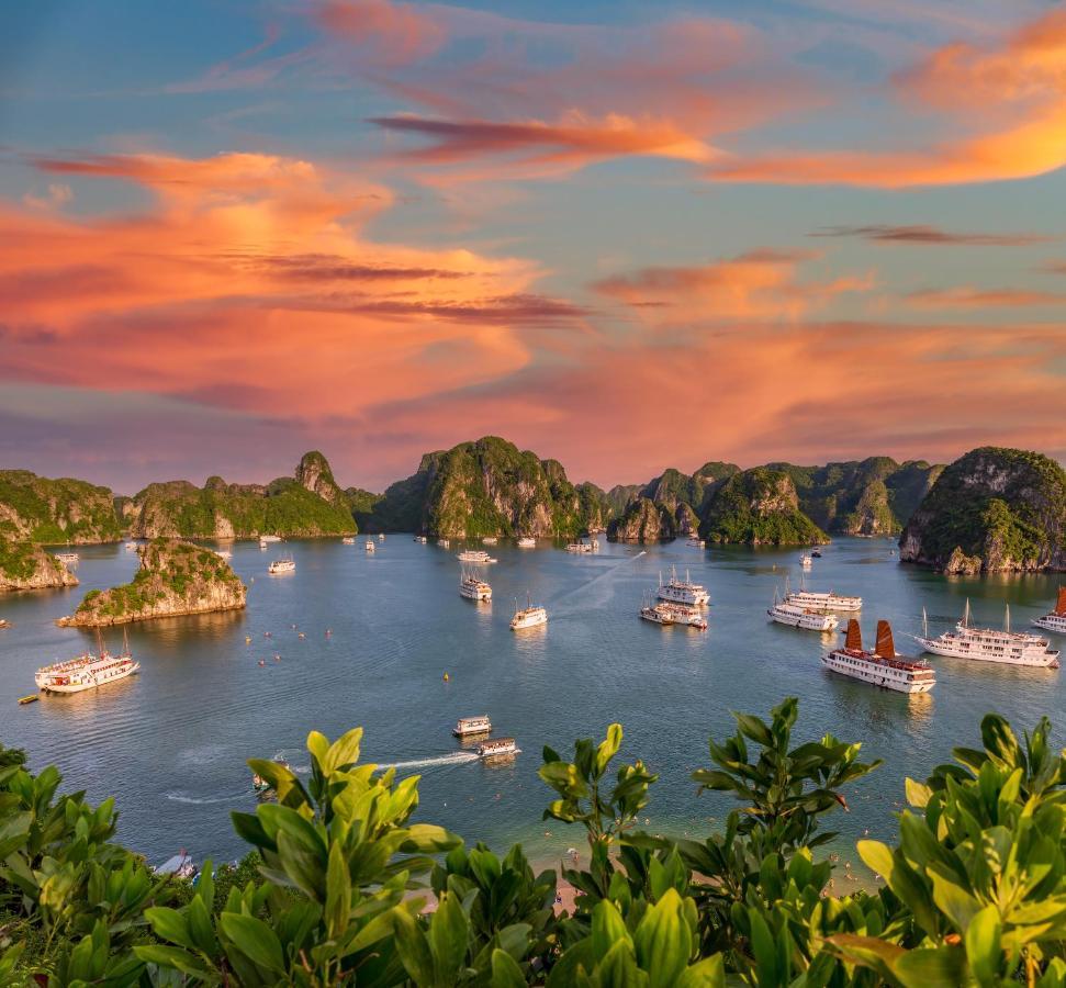 Hotel Syrena Cruises à Hạ Long Extérieur photo